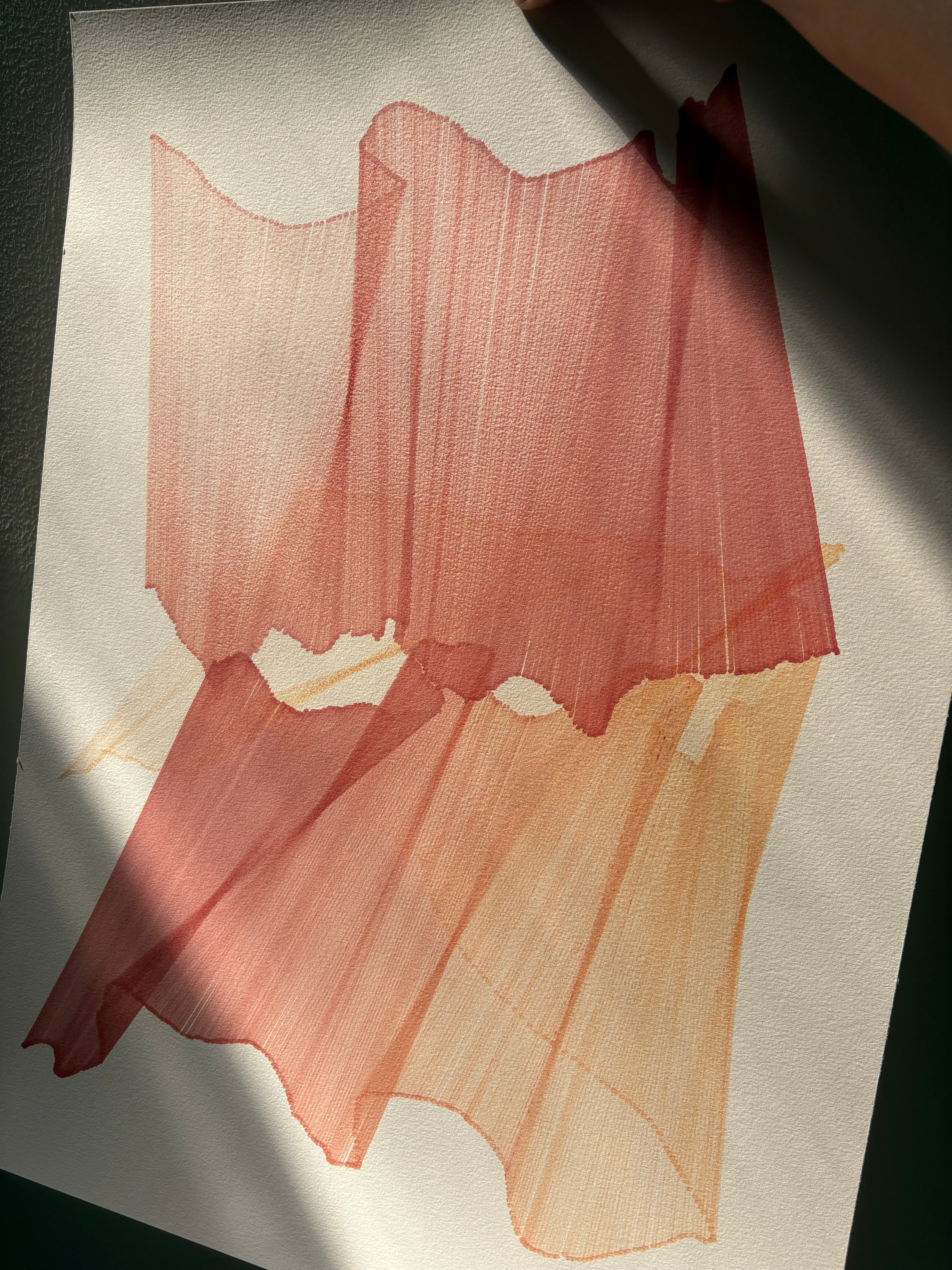 Print + Illustration