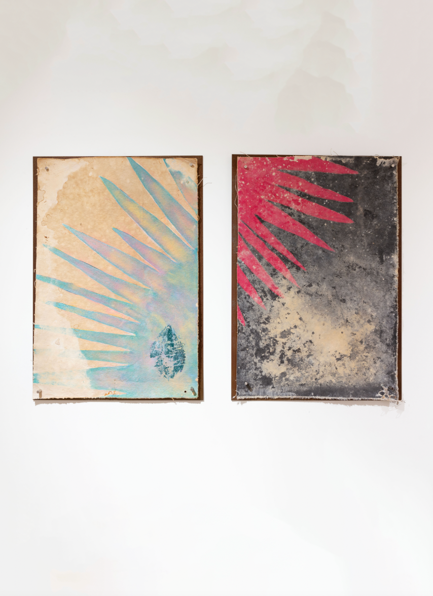 Diptych (Untitled 12 & 13), 2024