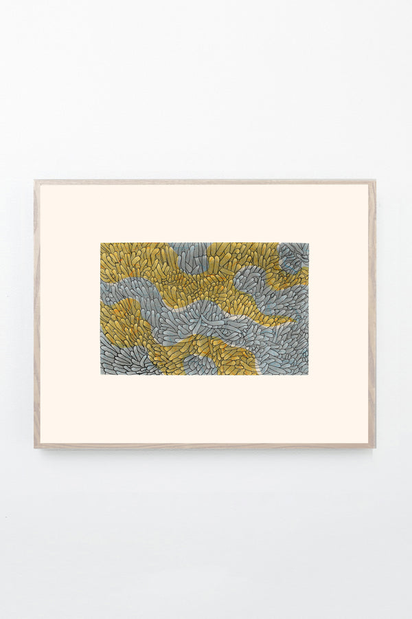 Coral Reef