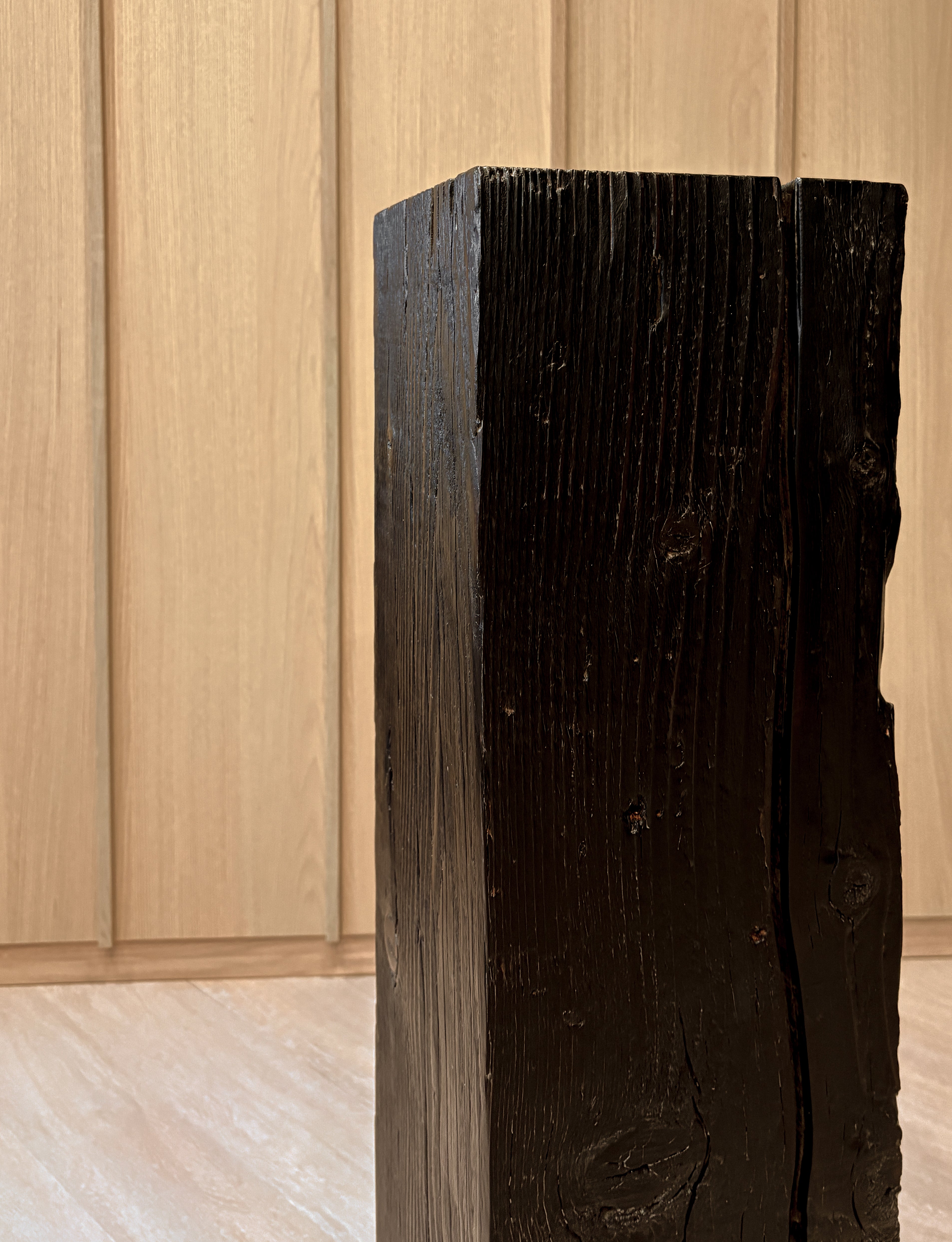 Sugi Ban, 2026