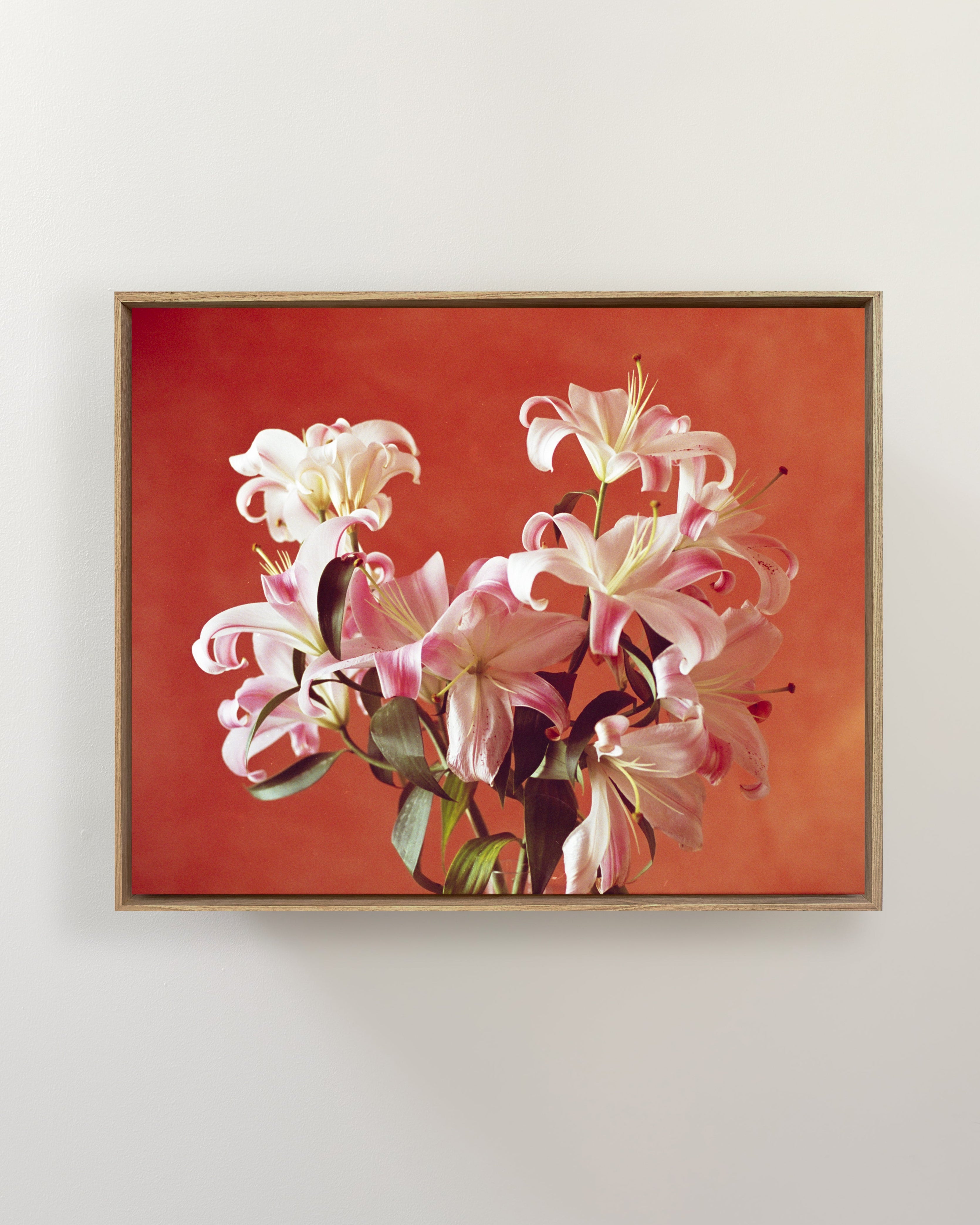 Untitled (CDMX Lilies), 2023