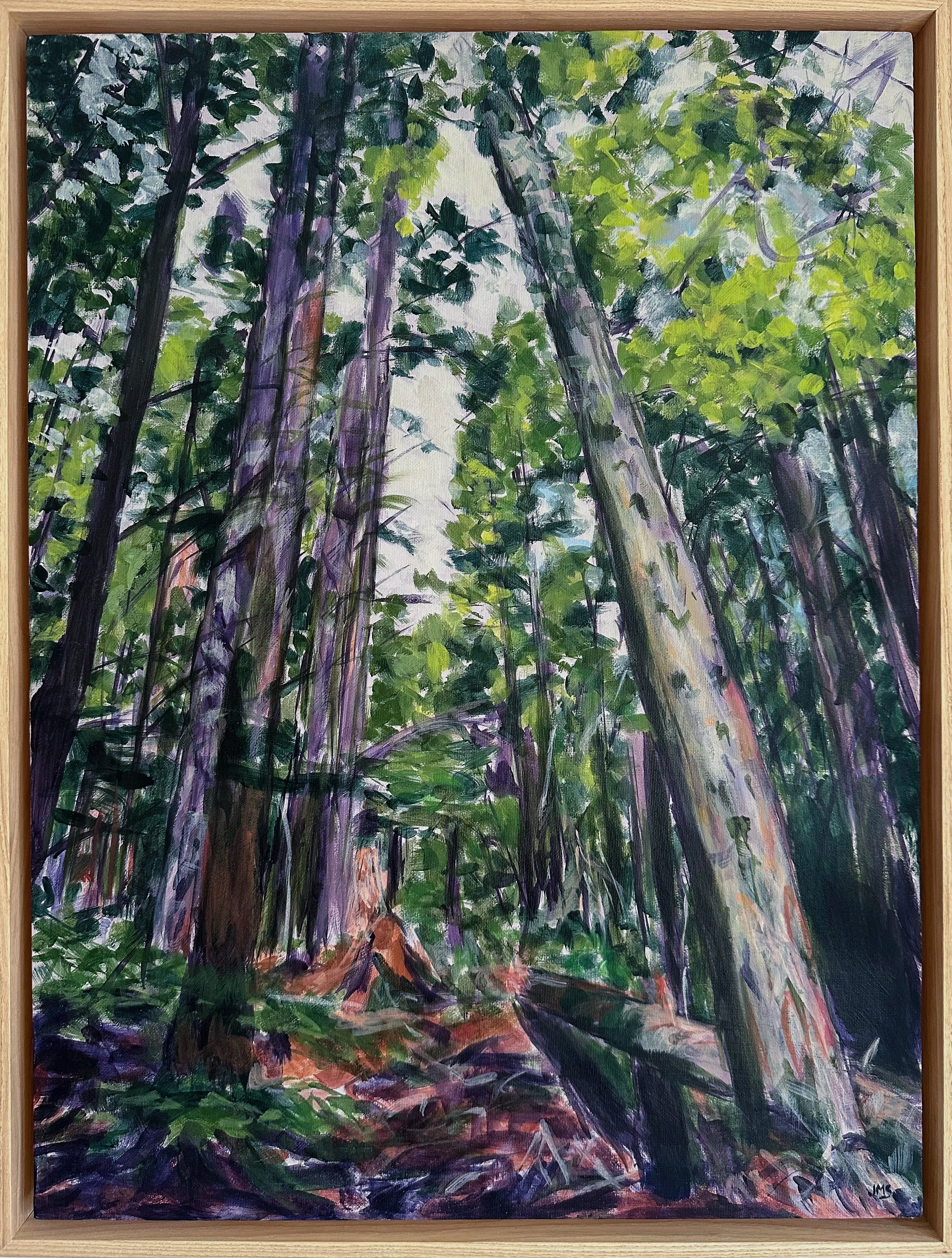 Forest Fantasy 6, 2024