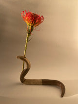 Snake Series 1