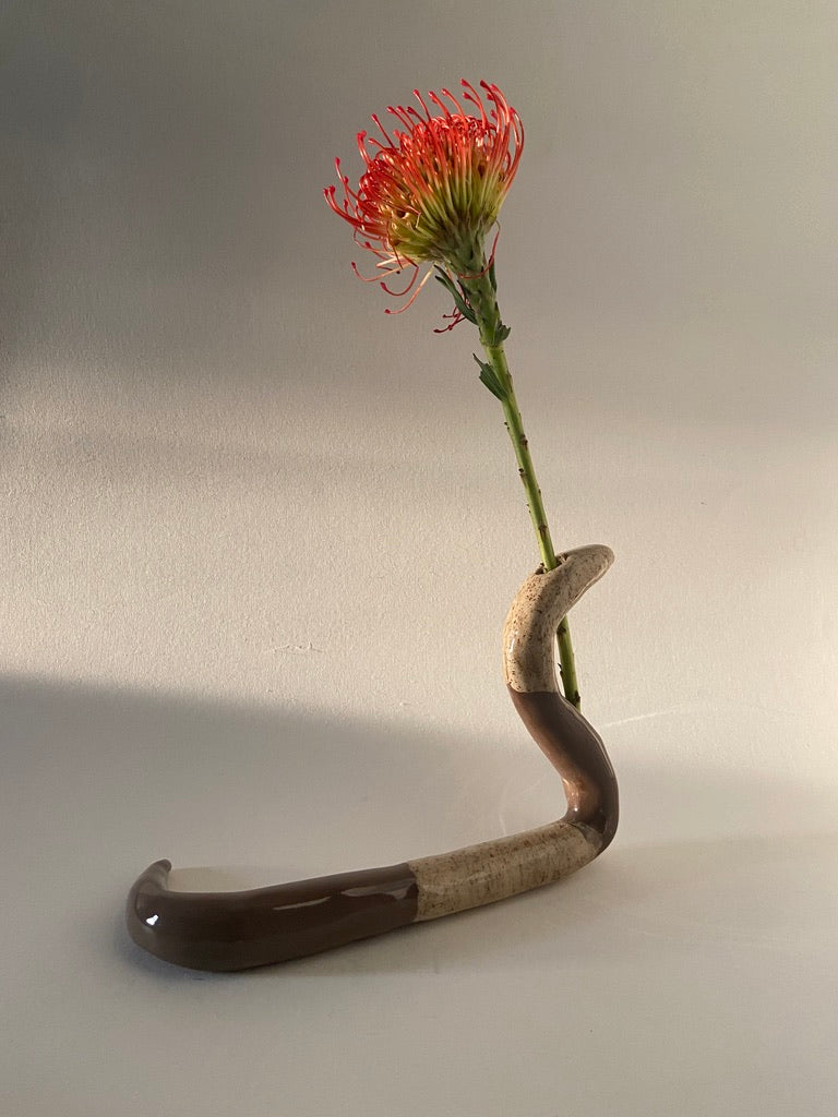 Snake Series 1