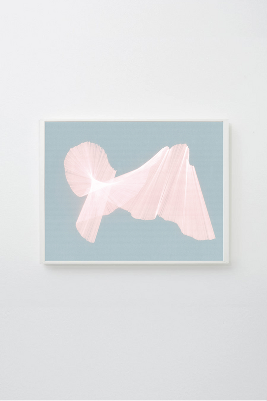 Migration Inversion 8 framed and hung on white wall.