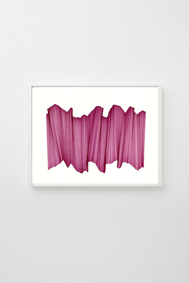 "Migration 20" (Pink lines intersecting on white paper, appearing to float), framed.