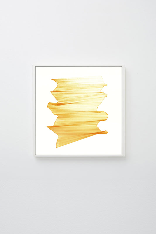 "Migration 24" (Yellow lines intersecting on white paper, appearing to float), framed.