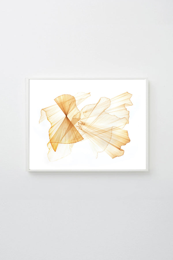 Migration 55