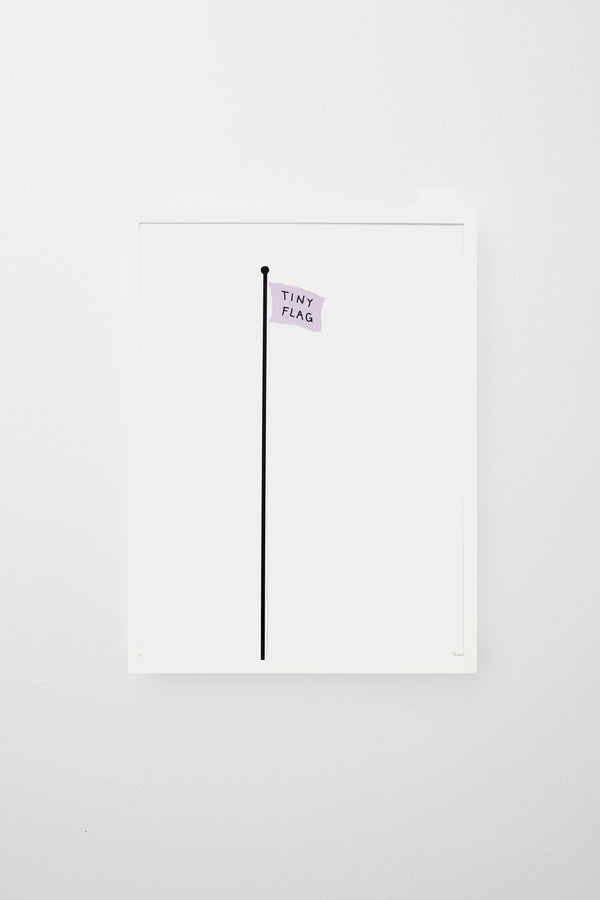 "Tiny Flag" framed, hung on wall.